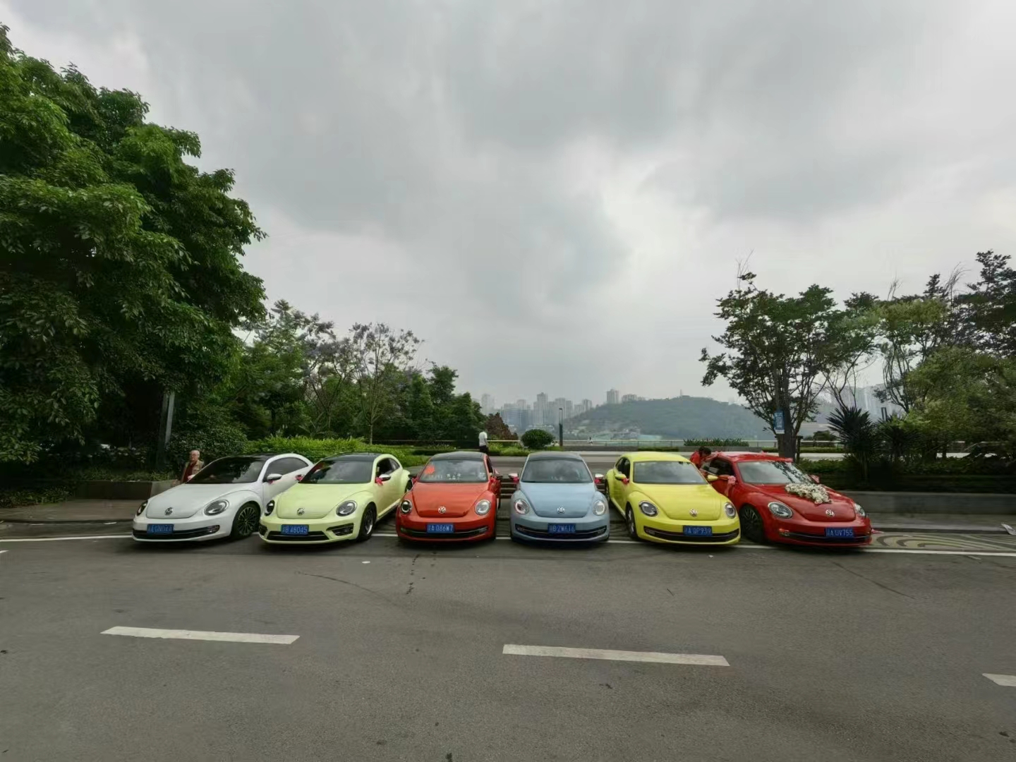 甲殼蟲彩虹車隊(duì)